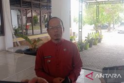 Bupati Bangka Tengah: Perkuat peran ayah lindungi anak dari kekerasan