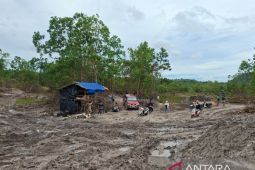 Polda Babel tertibkan tambang timah ilegal di hutan produksi Belinyu