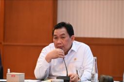 Anggota DPR dorong penguatan kebijakan terpadu jaga stabilitas rupiah