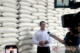 Bapanas: RI swasembada pangan, impor hanya 5 persen dari 11 komoditas