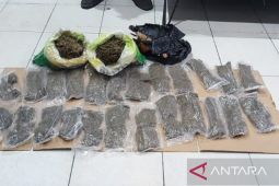 Polresta Manokwari tangkap penumpang KM Dorolonda bawa 1,07 kg ganja