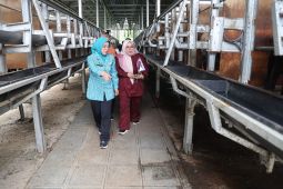PKK bidik adaptasi sistem tani Sitandu di tingkat keluarga
