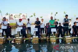 Bupati Badung tanam mangrove dukung pelestarian lingkungan pesisir