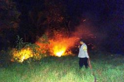 Kaltim berpotensi karhutla karena terdeteksi 151 titik panas