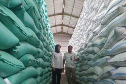 Bulog target salurkan 893 ribu ton beras SPHP pada 2026