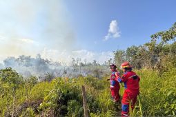 BPBD Kaltim minta warga aktif laporkan karhutla