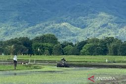 Pupuk Kujang pastikan pupuk subsidi tersedia di Garut saat kemarau