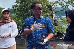 Pemprov Maluku tanam mangrove jaga ekosistem pesisir Poka Ambon