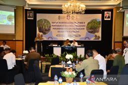 KKMD Provinsi Gorontalo susun strategi revitalisasi kawasan mangrove