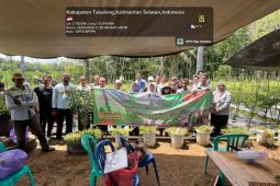 UPTD BPTPH Tabalong edukasi petani Desa Maburai atasi hama tanaman