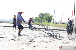 Gerakan Tanam PM-AAS di Sergai  dorong pertanian modern