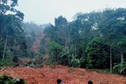 Sawah dan kebun warga terdampak longsor di Lebak