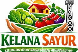 Kelurahan Sulingan - UPT Balai Benih Tabalong terapkan gerakan menanam sayur