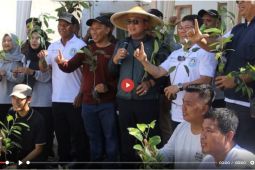 Dukung pelestarian alam, ANTARA tanam ratusan bibit pohon produktif - VIDEO