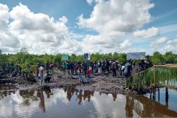Pemprov PBD tanam 36.000 mangrove sebagai aksi mitigasi perubahan iklim
