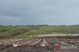 Bandung Barat siapkan strategi budi daya adaptif El Nino