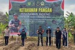 TNI tanam jagung untuk perkuat ketahanan pangan