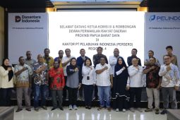 Pelindo-DPRP PBD percepat pengembangan Pelabuhan Sorong jadi hub logistik di KTI