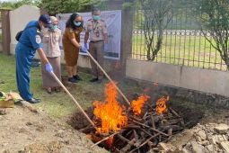 Petugas Karantina musnahkan sapi ilegal masuk ke Timika