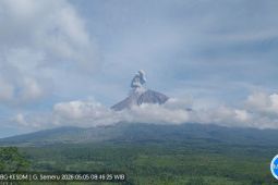 Badan Geologi sebut aktivitas vulkanikGunung Semeru masih tinggi