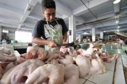 Kota Madiun alami deflasi April 2026 karena harga daging ayam turun