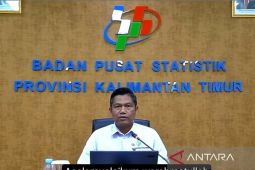 BPS: IKG Kaltim membaik didorong peningkatan kesehatan reproduksi