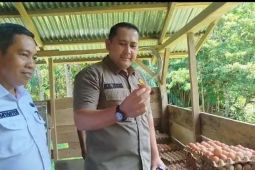 Bupati M. Syukur apresiasi keberhasilan BUMDesma Syukur Bhakti