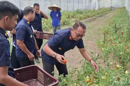 Rutan Banda Aceh panen program ketahanan pangan warga binaan