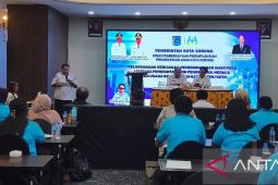 Kota Sorong tingkatkan kapasitas perlindungan perempuan dan anak