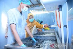 Wagub Gorontalo minta dapur MBG siapkan 30 variasi menu