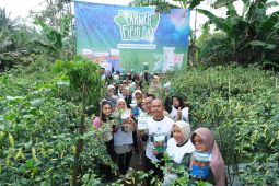 NPGF dukung ketahanan pangan lewat Farmer Field Day