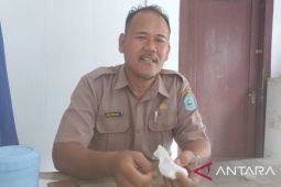 Dinpanpertan Bangka targetkan produksi padi 3 ton per hektare