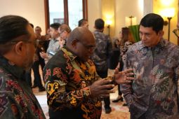 Papua Tengah arahkan hilirisasi tambang bersama MIND ID