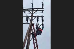 PLN perkuat keandalan listrik Ketapang melalui pemeliharaan terpadu