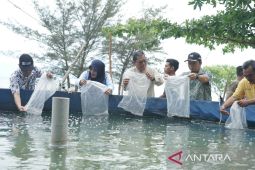 Pemkab Bangka Tengah optimalkan panen udang vaname untuk tingkatkan PAD