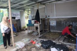Warga RW1 Warudoyong Kota Sukabumi kembangkan magot