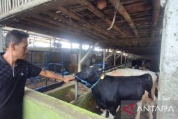 Spektrum - Menjaga asa ekonomi penjualan hewan kurban di Bandung Barat