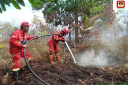 Puan minta pemerintah siapkan langkah strategis pengendalian karhutla