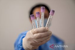 Dua warga Singapura penumpang MV Hondius dinyatakan negatif hantavirus