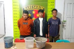 Receh yang meresahkan di Jalinsum Sipirok Tapsel