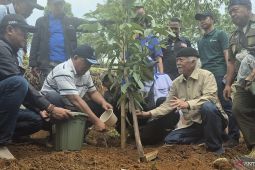 KLH-buruh hijaukan kawasan hulu Bandung tanam 12.000 pohon