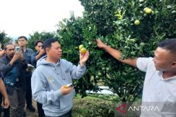 Ketua DPD dorong produk pertanian Rejang Lebong diserap program MBG
