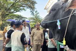 Pemkot Bandung kerahkan 184 petugas periksa kesehatan dan kelayakan hewan kurban