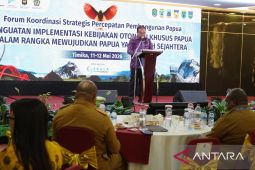 Kemendagri minta pengelolaan dana Otsus Papua harus tepat sasaran