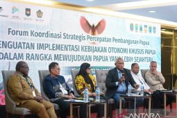 Komarudin: Kapasitas tata kelola jadi syarat  keberhasilan Otsus Papua