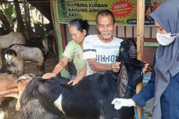 DKPP Kota Madiun berikan vaksin PMK hewan kurban jelang Idul Adha