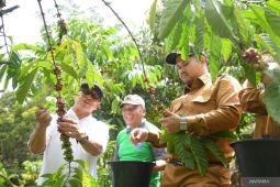 PTBA bantu bibit dan mesin kopi untuk hilirisasi perkebunan Sawahlunto