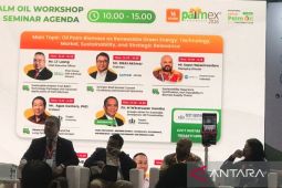 APCASI dorong BPDP beri insentif biomassa cangkang sawit