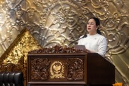 DPR calls on government to address rupiah's weakening