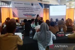 Pemkab Nabire tingkatkan kapasitas kader posyandu tekan stunting lewat PASTI